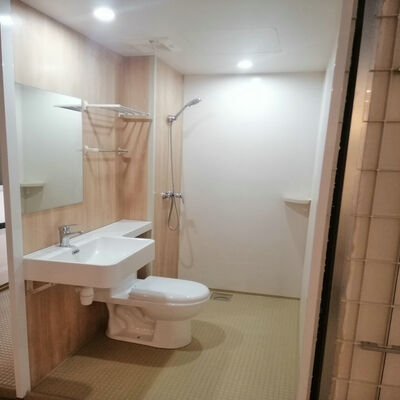 lavabo de tocador SMC moldeado de una sola pieza lavabo SMC ligero y duradero