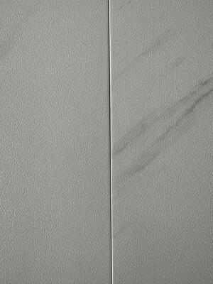 Panel de ducha de una sola pieza SMC / Base de baño